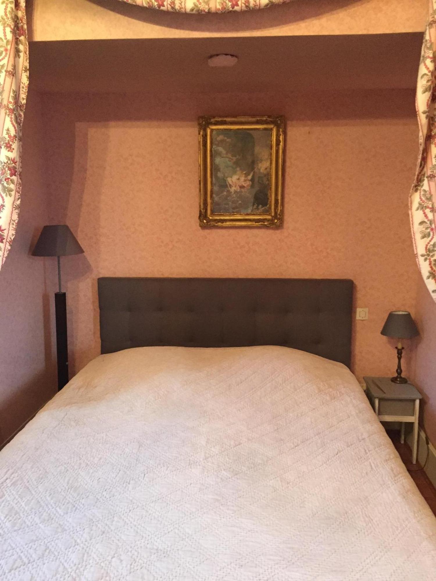 Chateau De Pintray Lussault-sur-Loire Rum bild